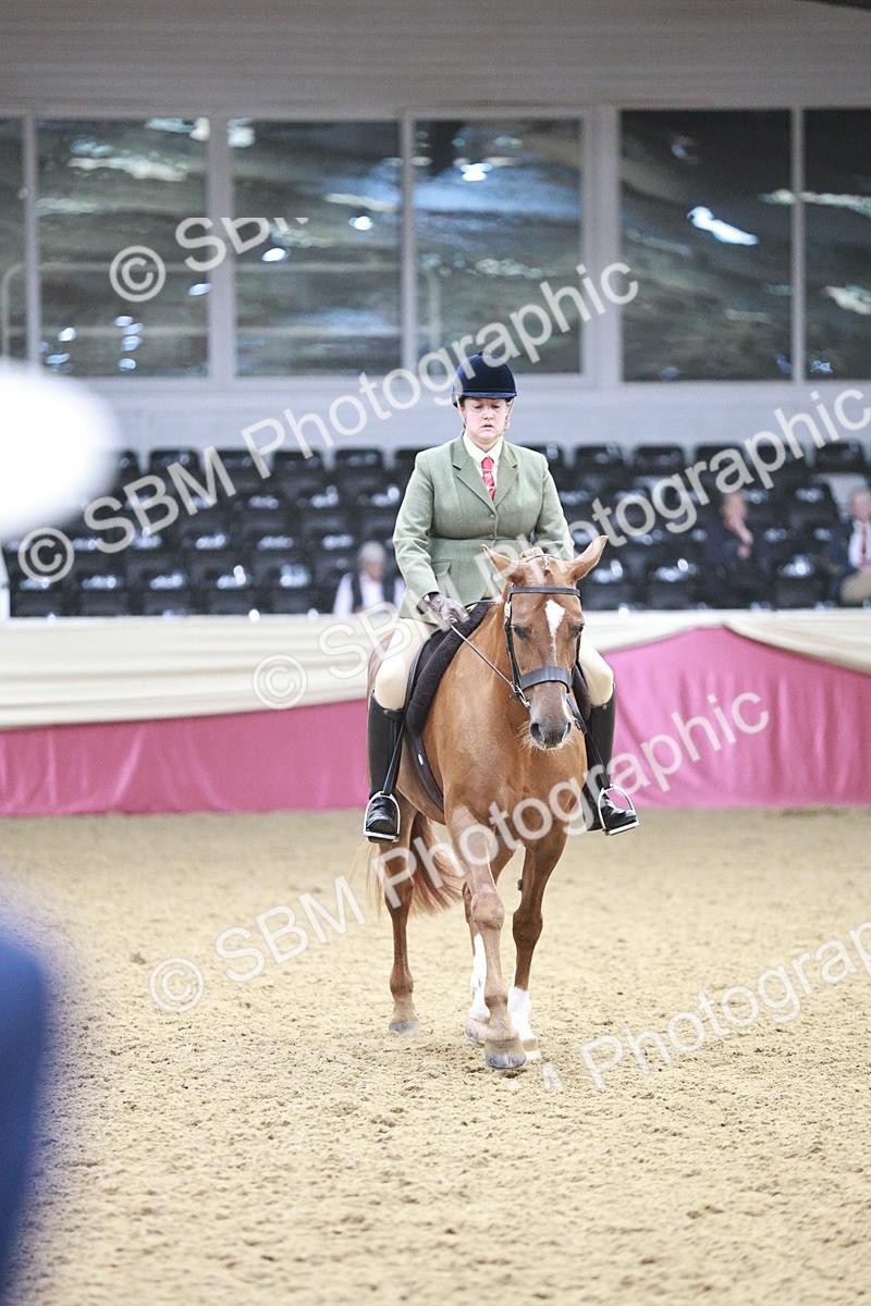 SBM_03395 - Class 6A Area Ridden Pre-Vet