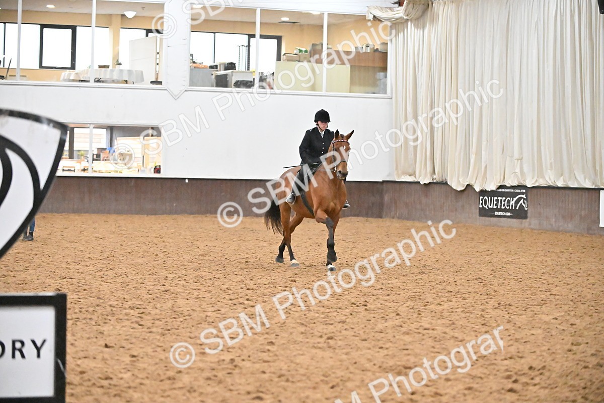 SBM_003005 - Class 37,38 - UKPSAF Performance Horse & Pony