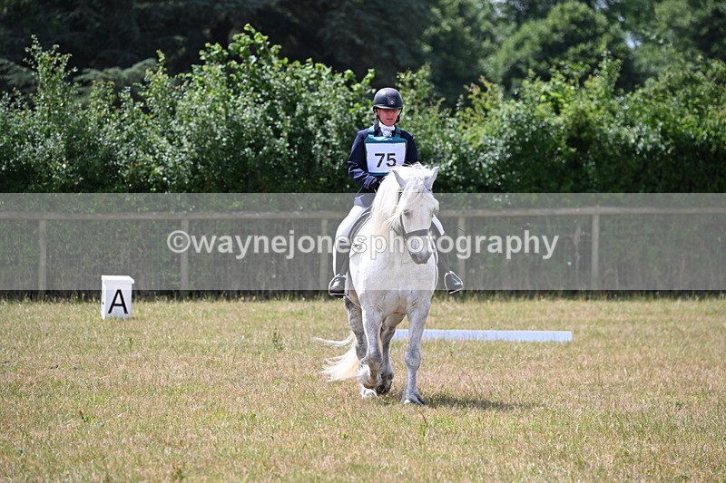 WJ6_3466 - Time 11:34 to 11:43