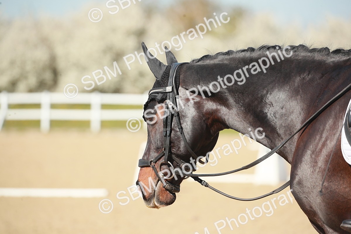 SJ3_1577 - Class 10 - M4