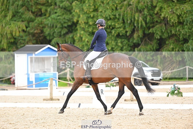 230813-141425-07711 - Cls 13 Medium Bronze 13.15 to End