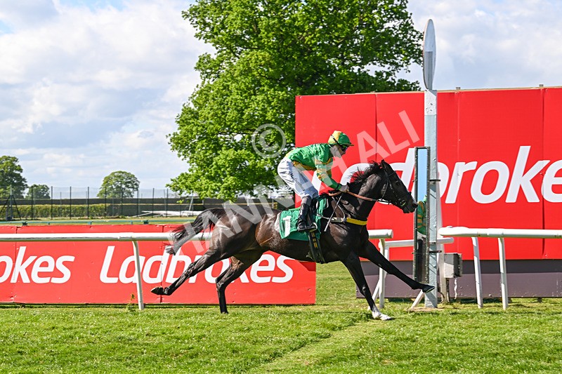 030525-Race 5-Savrola-3256 - Race 5