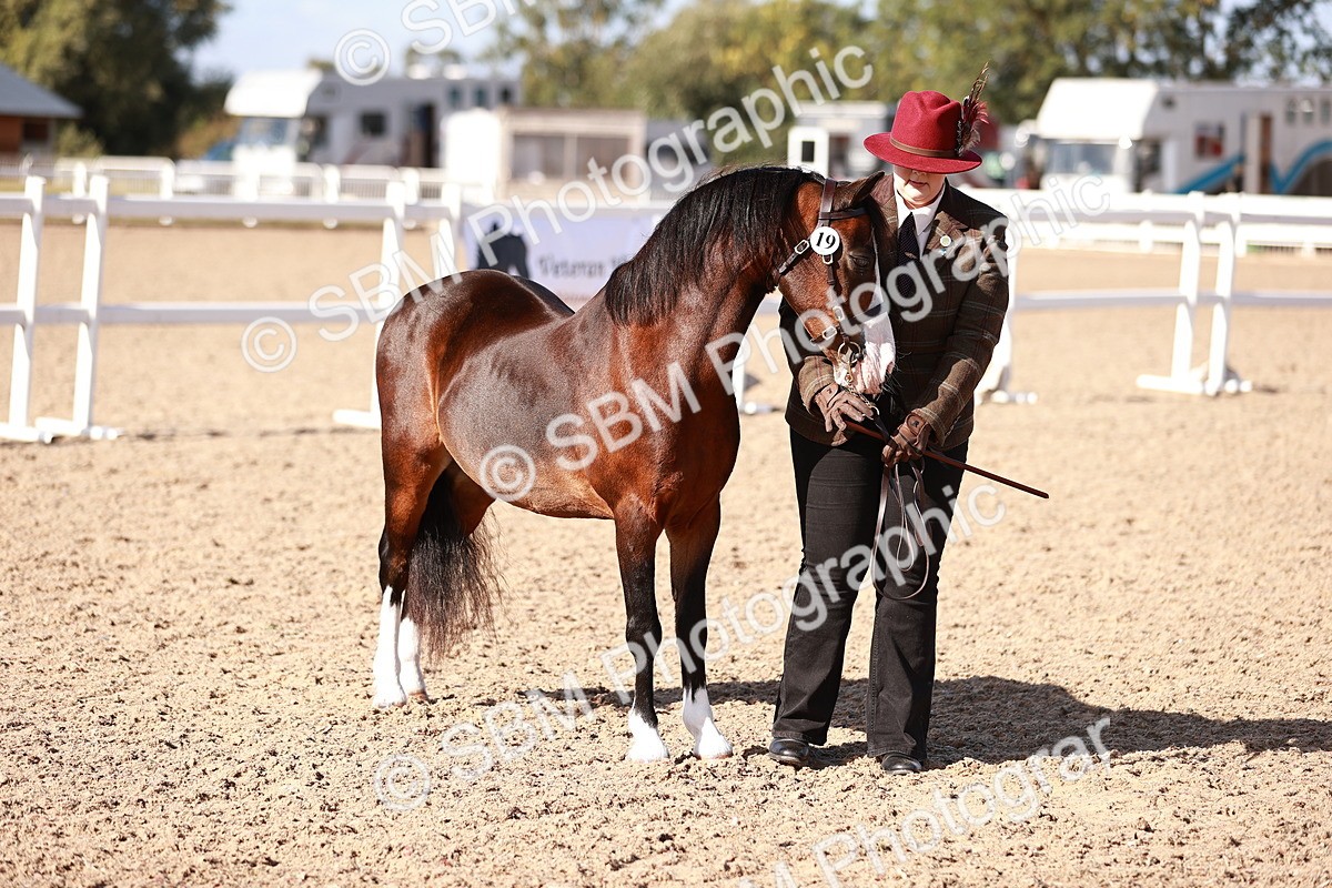 SBM_22715 - Class 704 - IH  Rescue