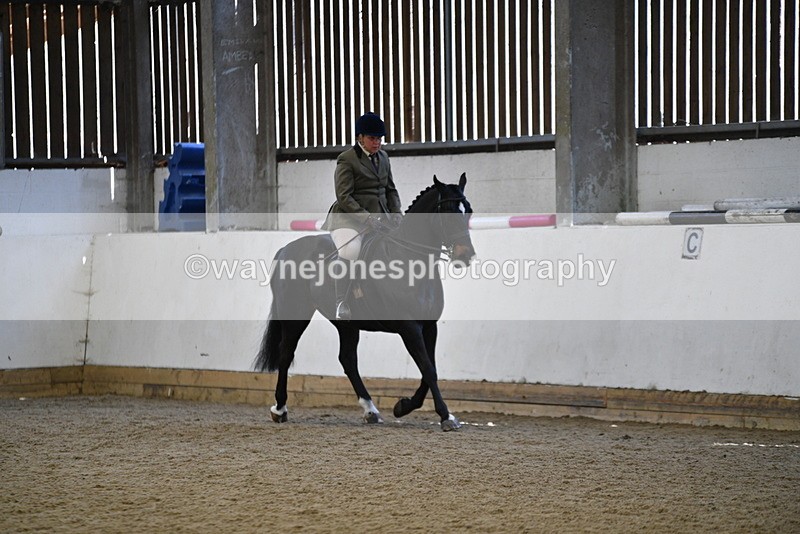 WJ5_5908 - Class 9 Ridden Veteran