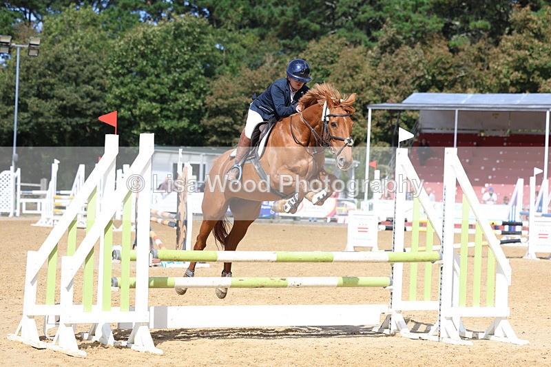 3E7A9345 - Class 9: Senior British Novice/90cm open