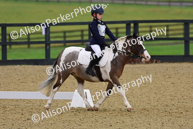 20260125-0645 - Class 9b - Walk Trot Unassisted