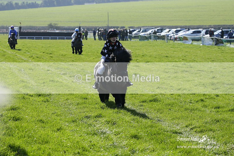 PtP 190322 31 - Wilton Hunt PtP Milborne St Andrew 19/03/22