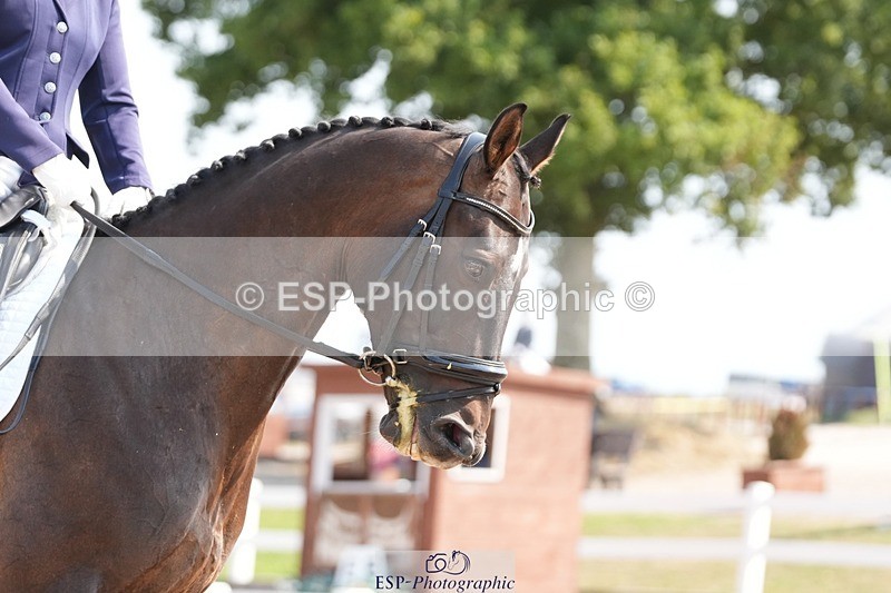 250817-105956-08446 - 096-Louisa.ChattingFirst.Mohican.II