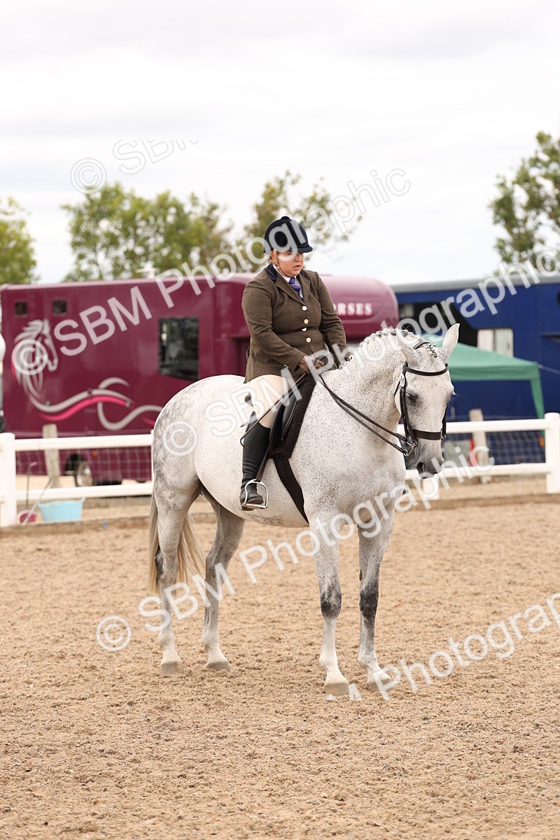 SBM_17260 - Class 213 - Ridden Hunter - Large