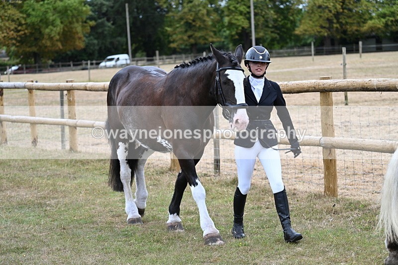 WJ7_9085 - Class 4a Prettiest Mare 14.2hh and over