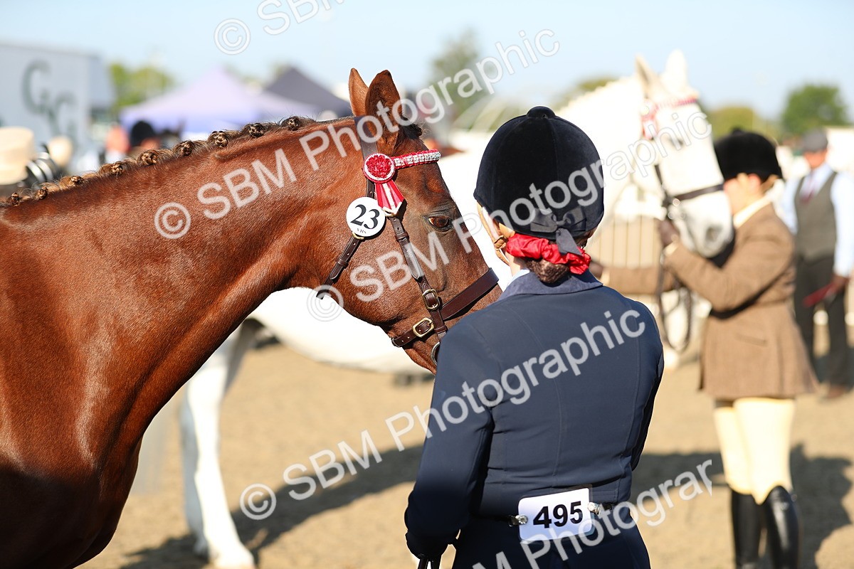 SBM_00048 - Class 40 Best Turned Out IH