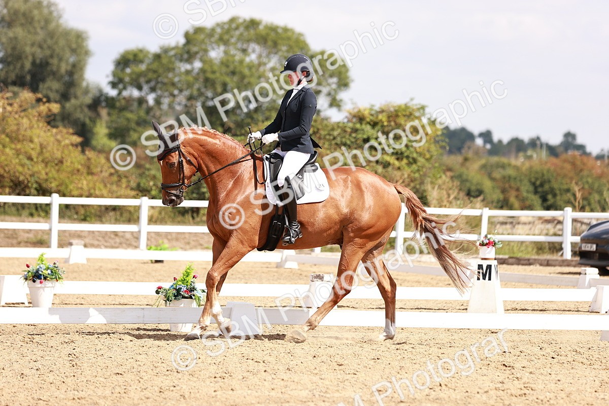 SBM_018476 - Class 17 - Novice 6