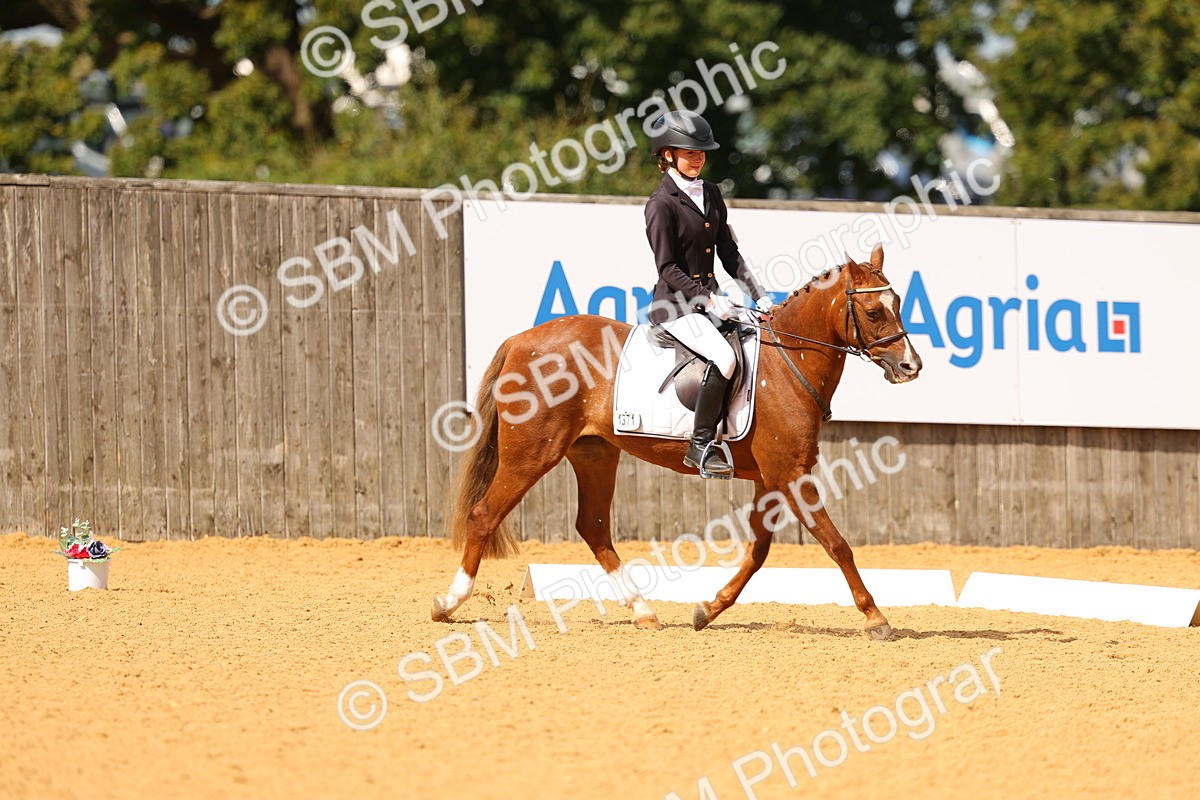 SBM_44044 - D22 - Junior Championship - Intro B