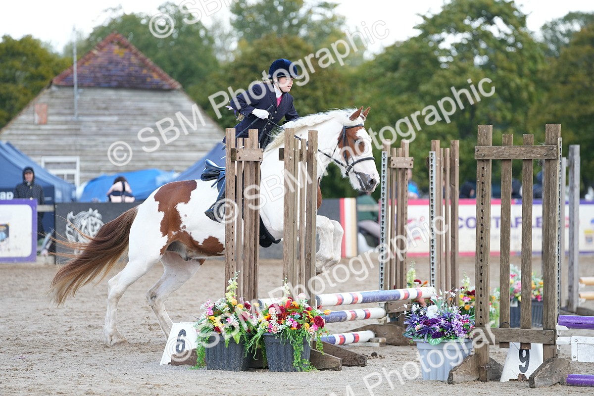 SBM_21212 - J49 - Open 50cm