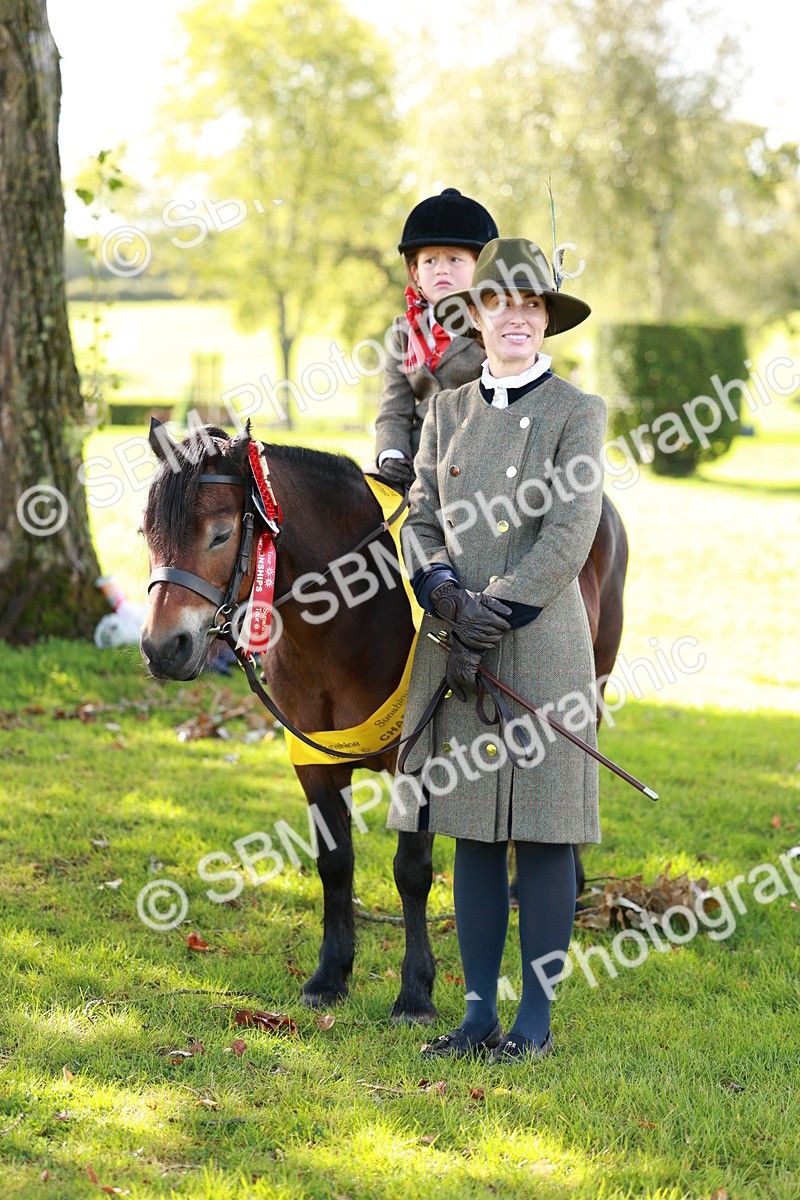 SBM_42205 - S32 - Mountain & Moorland Working Hunter Pony