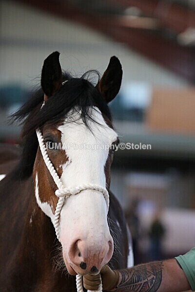 SIAL0260 - Indoor Classes