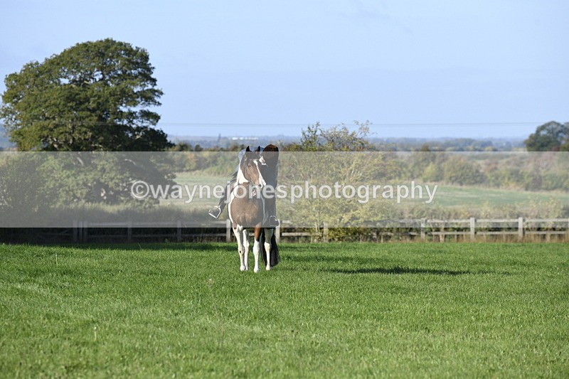 _DSC3971 - Time 08:53 to 09:55