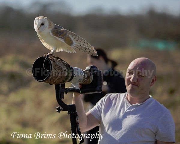 WowPD Mar17-62 - Birds of Prey