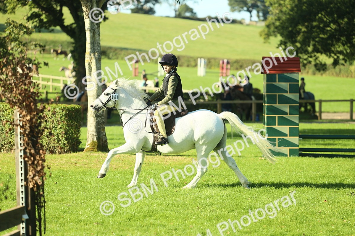 SBM_36387 - S29 - Novice & Newcomers Working Hunter Pony