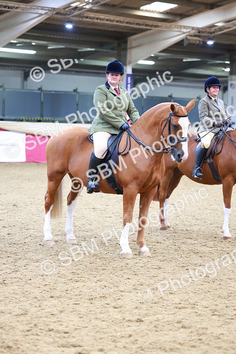 SBM_06316 - Class 12R - Ridden Pre-Vet