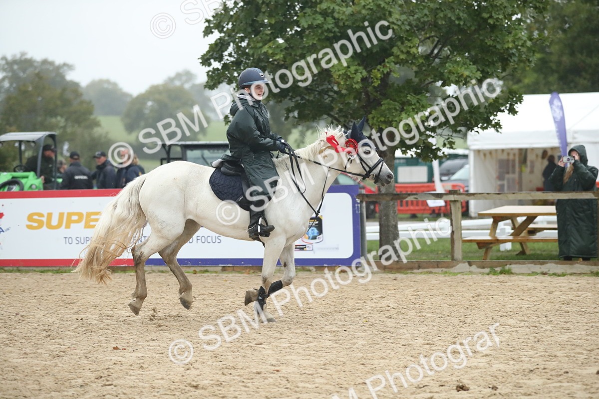SBM_74365 - Supreme championship Junior Pony 70cm 75cm