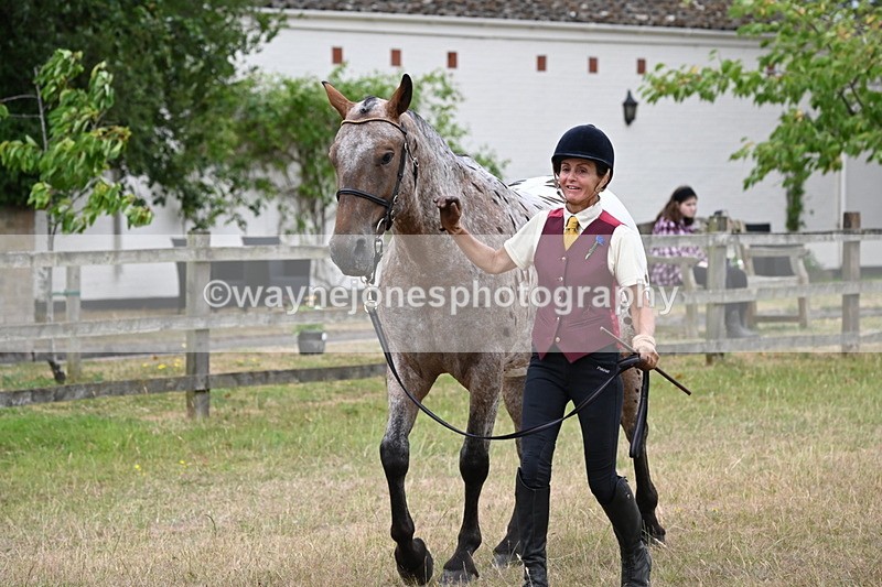 WJ6_8007 - Class 10 Coloured in Hand