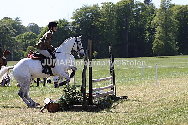 IMG_4487 - Working Hunter