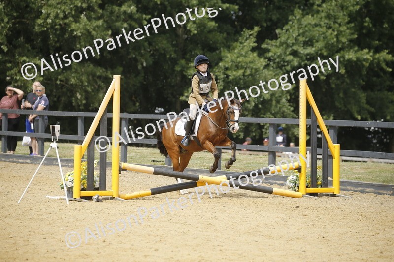 20250622-4760 - 50cm