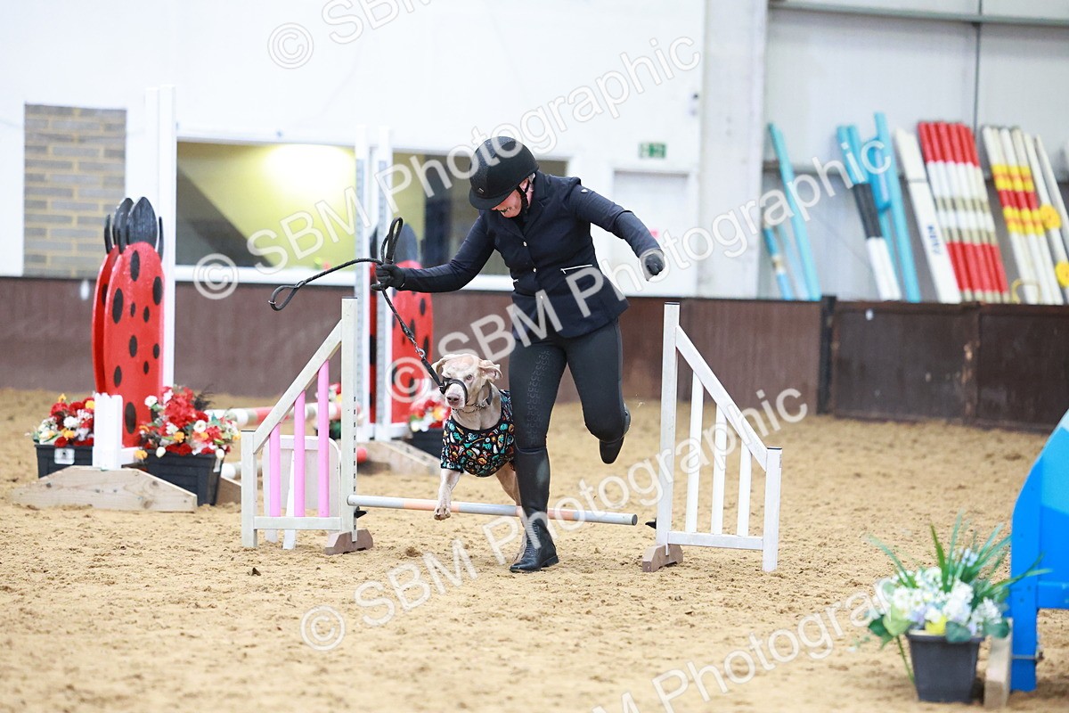 SBM_001748 - Class 3 - Horse & Hound (60cm)