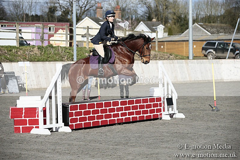 BVRC SJ 170319 53 - Bourne Valley Riding Club Showjumping 17/03/19
