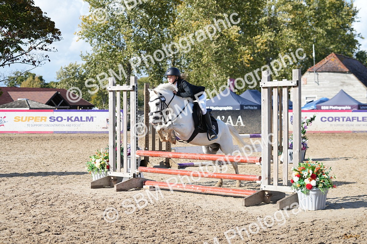 SBM_49239 - J8 - Junior Pony 65cm Championship