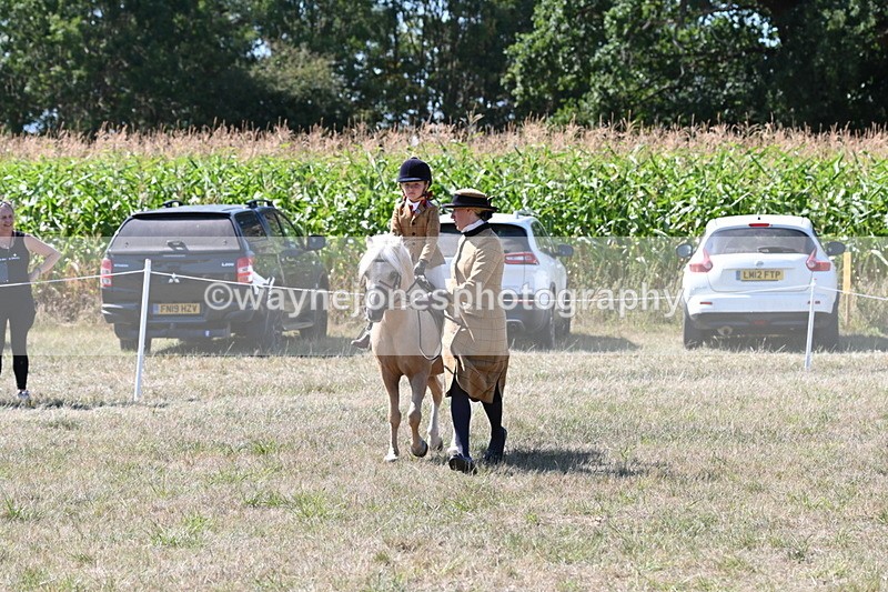 WJ6_8056 - Class 36 Lead Rein