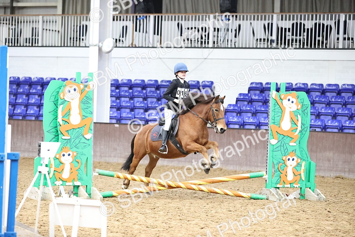 SBM_000149 - Class 2 - The Rug Lady 40cm Area 12 Championship Qualifier