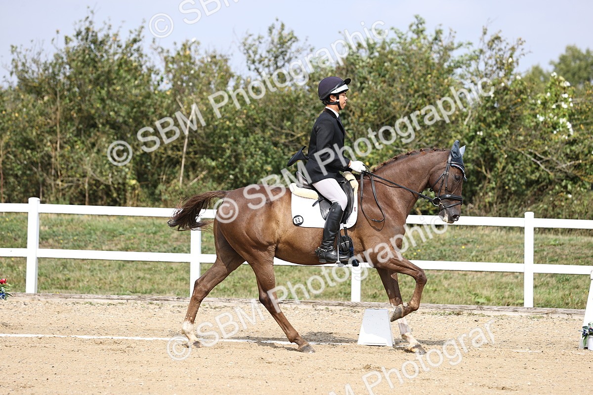 SBM_017387 - Class 14 - Novice 23 - 13.52-14.55