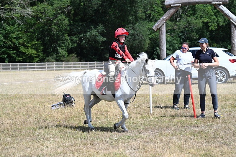 WJ7_0100 - 40cm Time 11:30 to 11:46