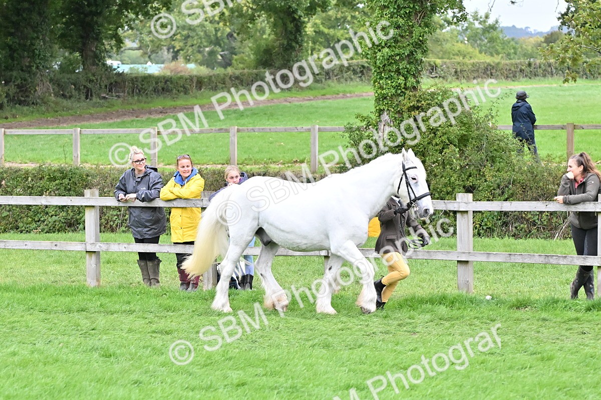 SBM_68574 - S42 - Junior Handler 9-12 Years