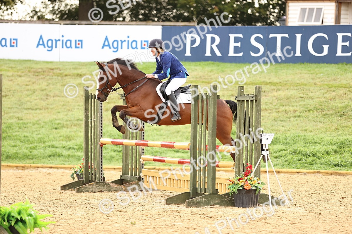 SBM_58233 - J41 - Grand Tour Horse & Pony 95cm