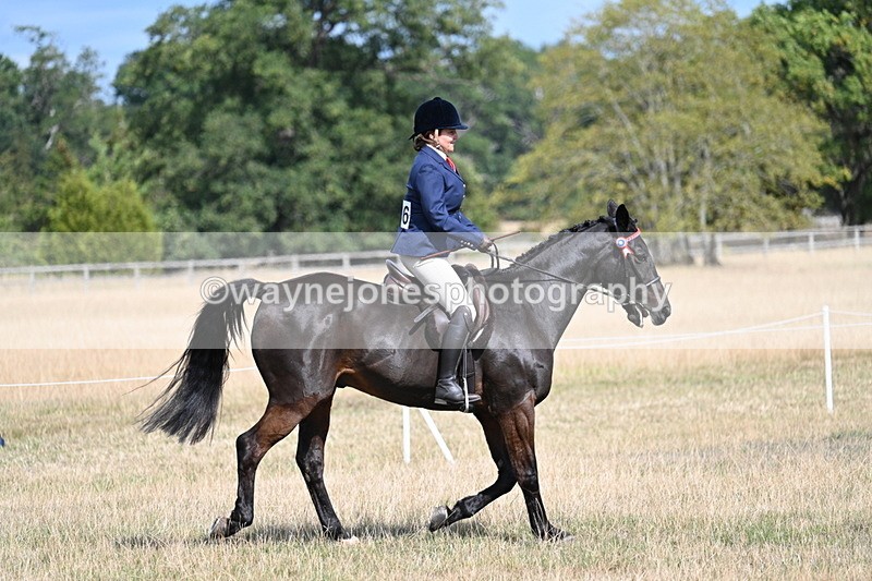 WJ7_6282 - Class 13 Ridden Veterans