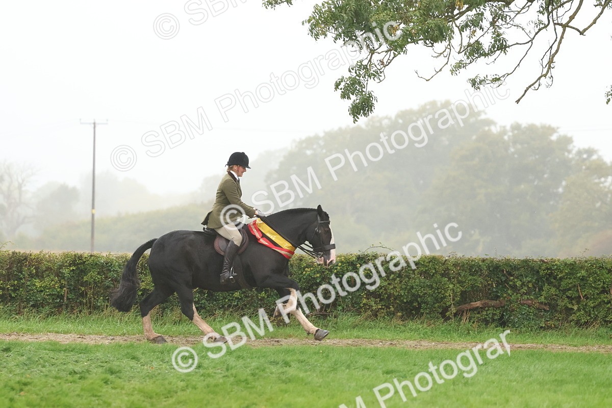 SBM_73221 - Super Supreme Championship(Sun)