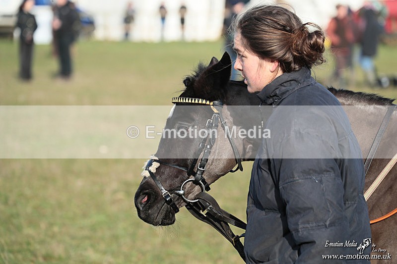 PR PtP 250126 9 - Pony Racing Cocklebarrow 25/01/26