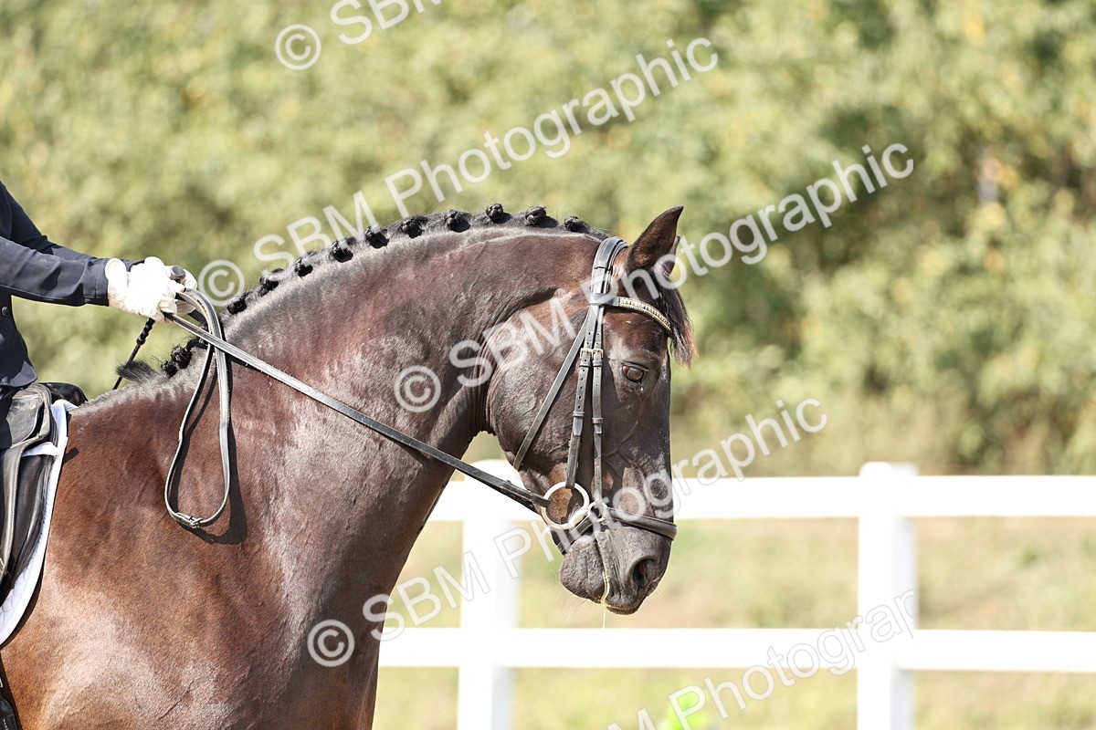 SBM_014860 - Class 7 - Medium 3