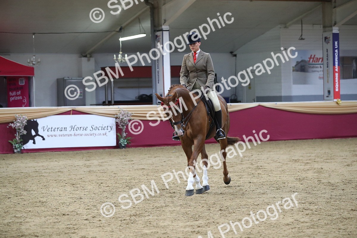 SBM_08435 - Class 11R Regional Ridden Veteran