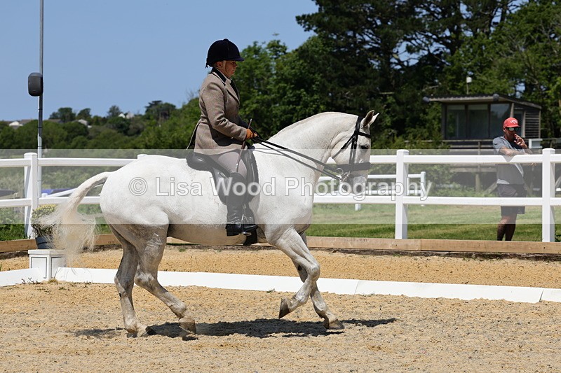 1X9A1703 - Class 11: Ridden Cob