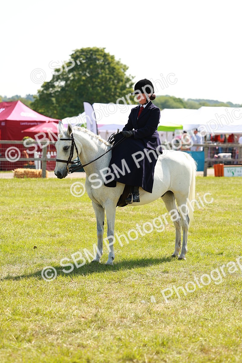 SBM_13363 - Class 70-71 - Side Saddle