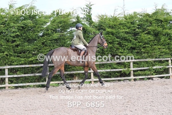 BPP_6855 - RING 1  (RIDDEN HORSES / IN HAND / VETERAN ETC)
