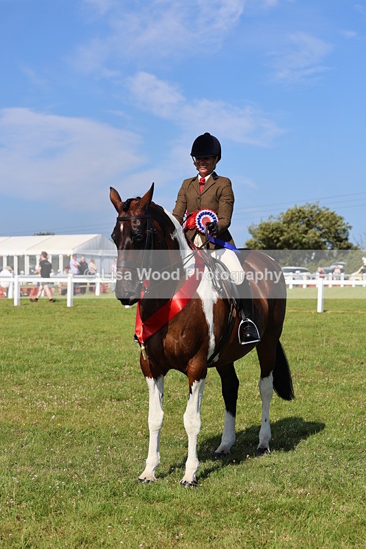 IMG_1679 - Skewbald and Piebald Ridden Championship