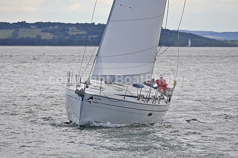 190729 SEA BADGER GBR9483T 1Y3A6697 - 190729 SEA BADGER GBR9483T