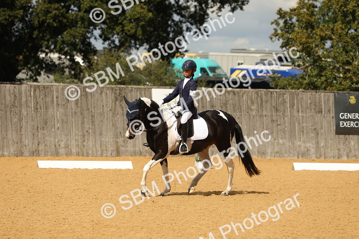 SBM_41723 - D21 - Junior Championship - Intro A
