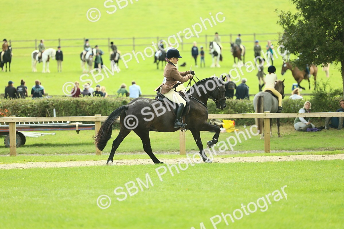 SBM_44759 - S31 - Working Hunter Pony