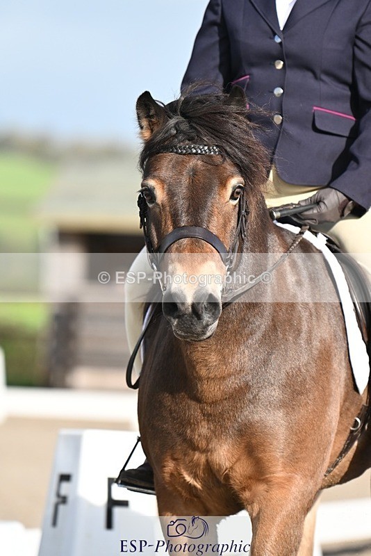 231105-112433-01378 - Cls 2 Prelim 7 11.16 to 12.35 break